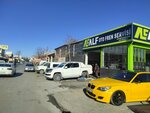 Alf Auto Brake (Konya, Selcuklu, Fatih Neighborhood, Cevizli Street, 22), car service, auto repair