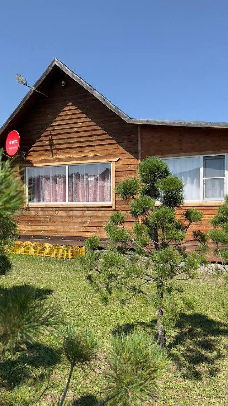 Фото Радость