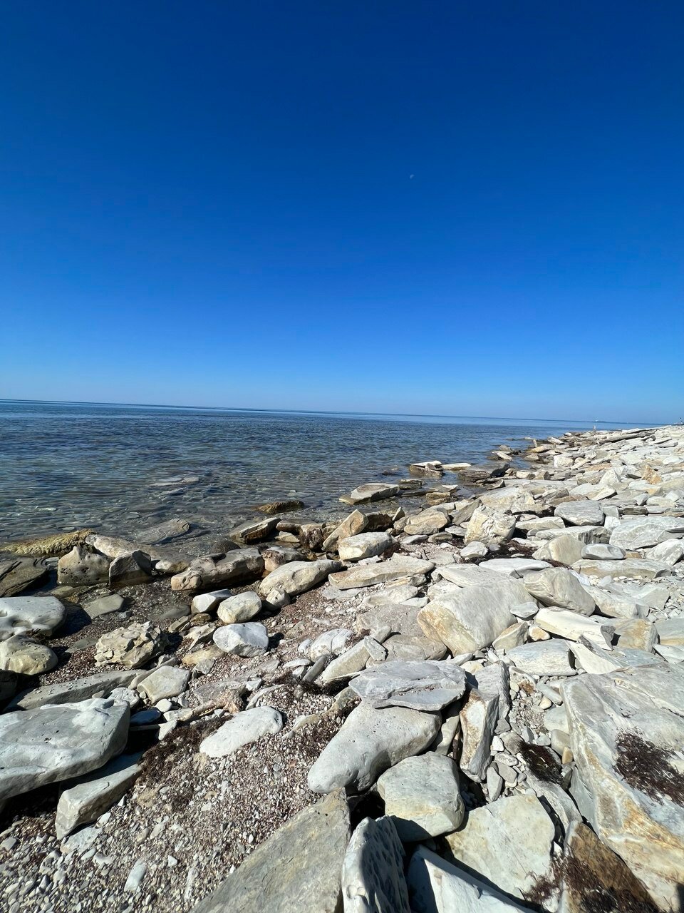 Фото Ахиллес