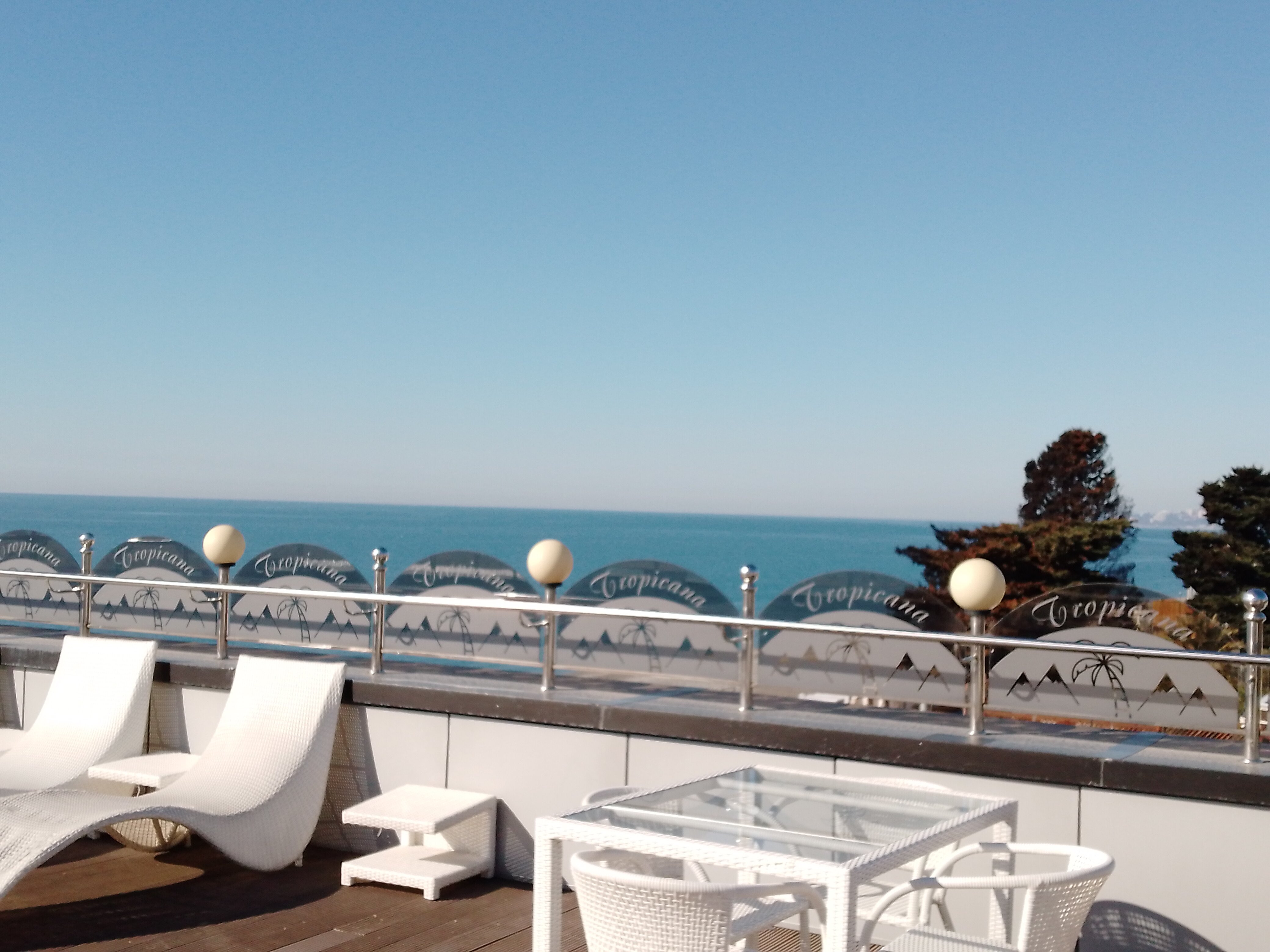 Фото Золотой огонек