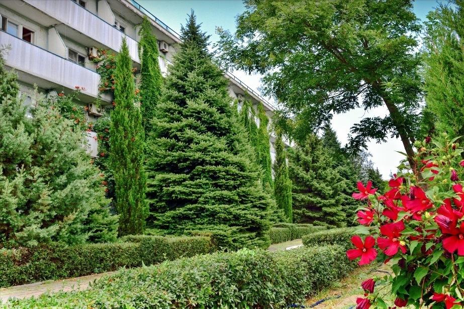 Фото Крымское Приазовье