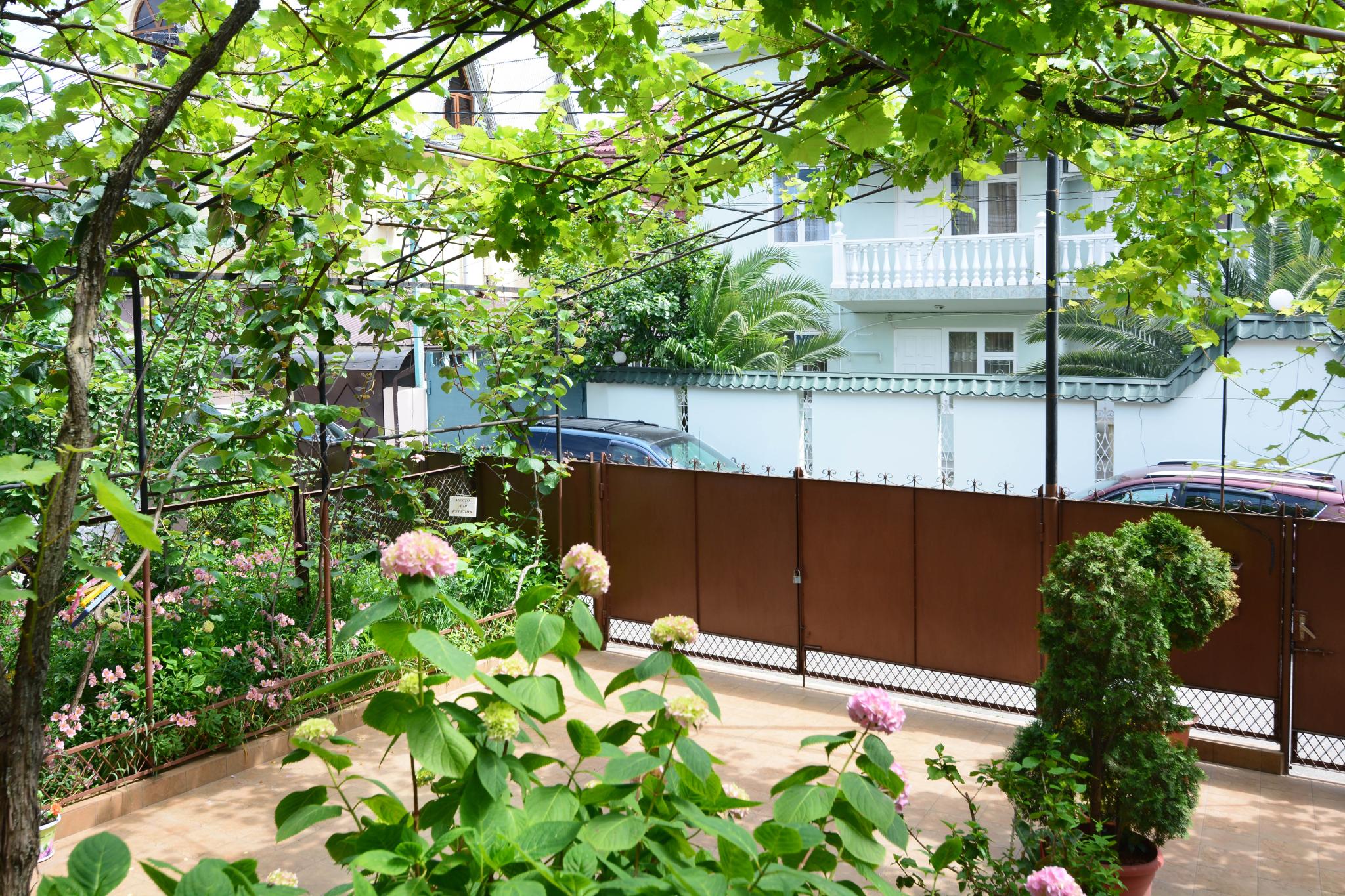 Фото Звёздочка