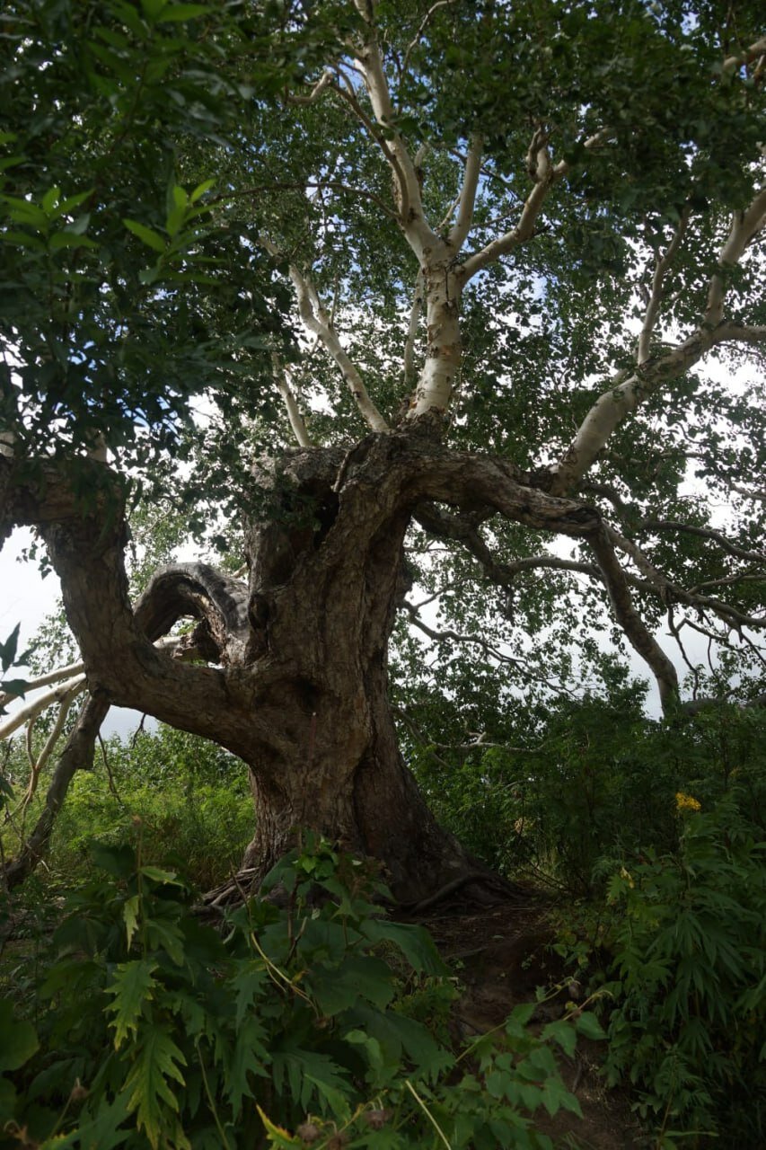 Фото АпачаКамТрэвел