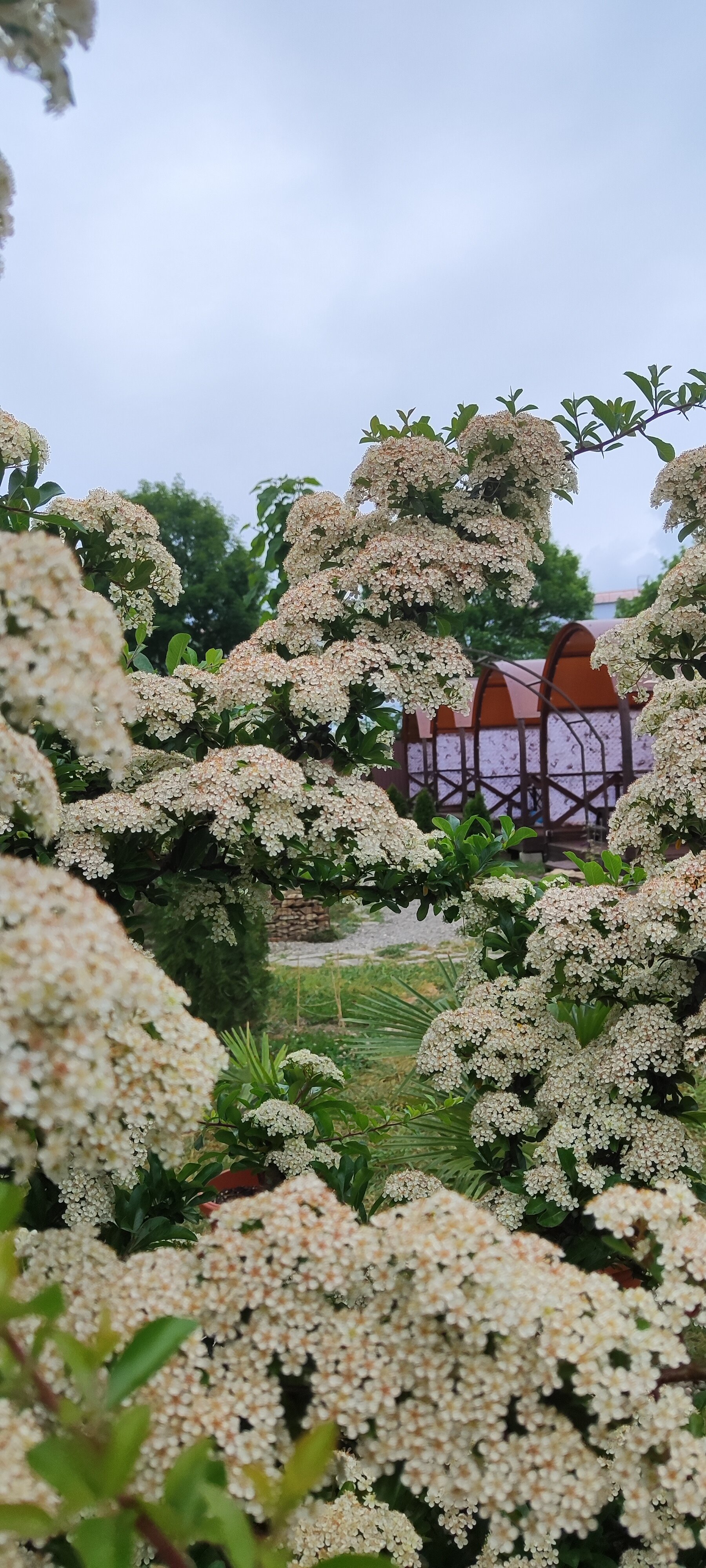 Фото Надежда