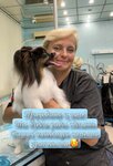 Gruming studiya Nadezhdy Breganovoy (Novokurkinskoye Highway, 43), pet salon