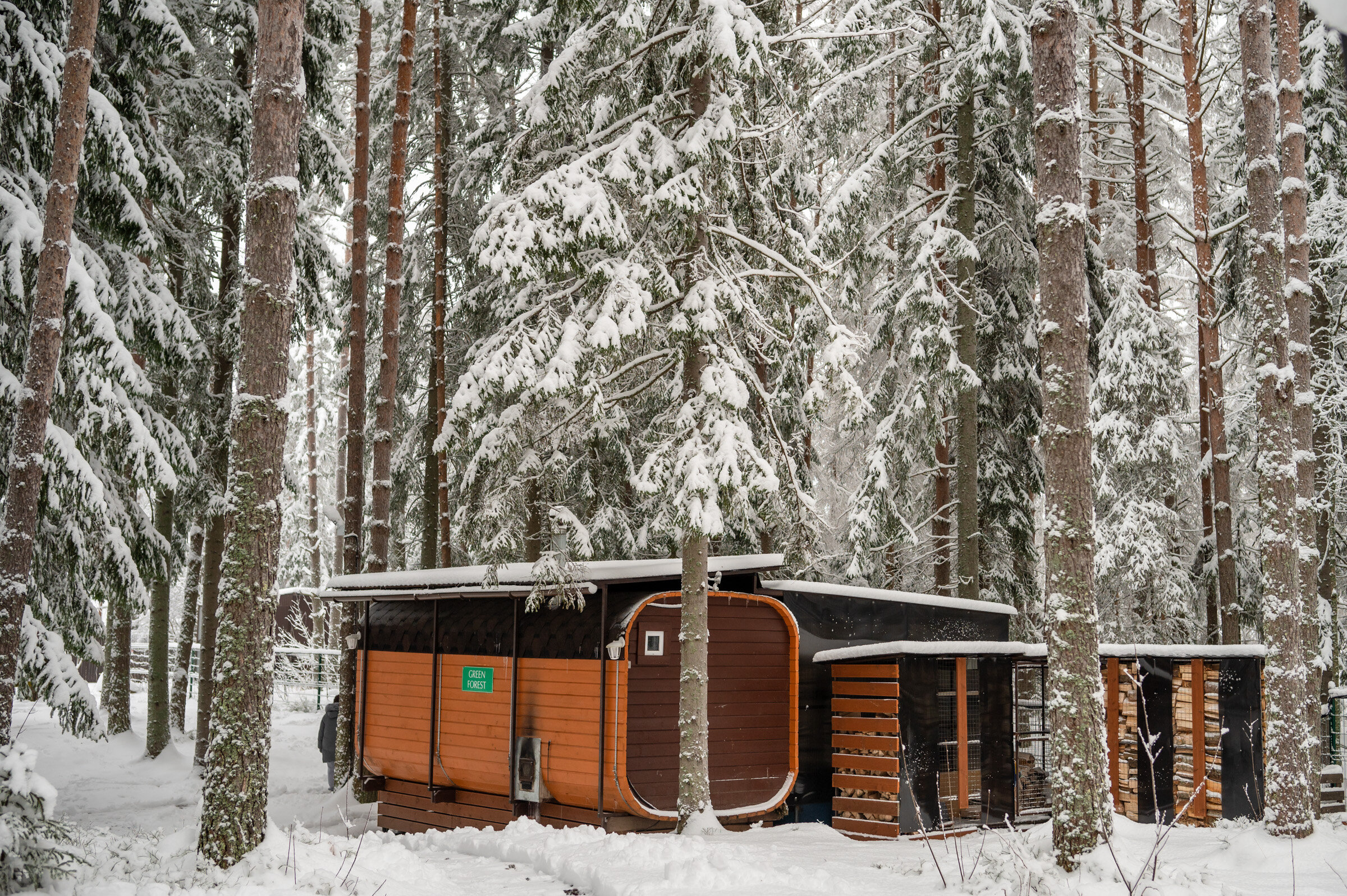 Фото Ёлки и Горки