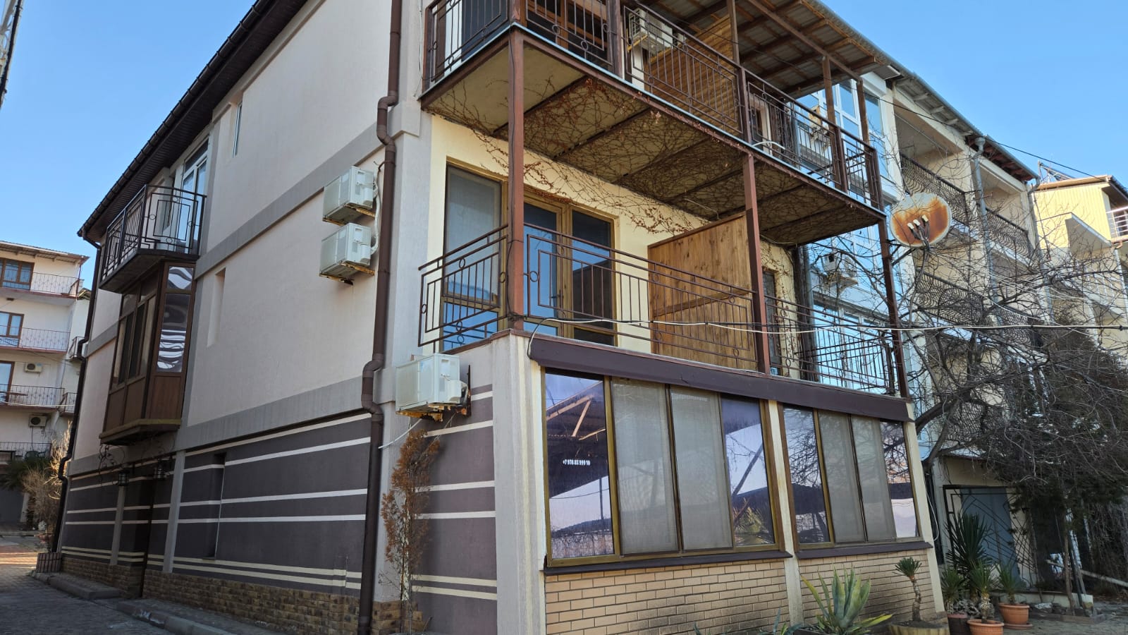 Фото Горная лаванда