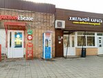Khmelnoy Karas (Lenina Street, 67А), beer shop