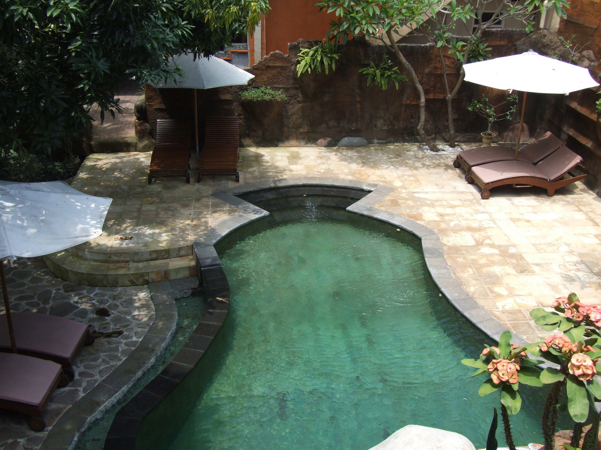 Фото Chonos Hotel Lovina