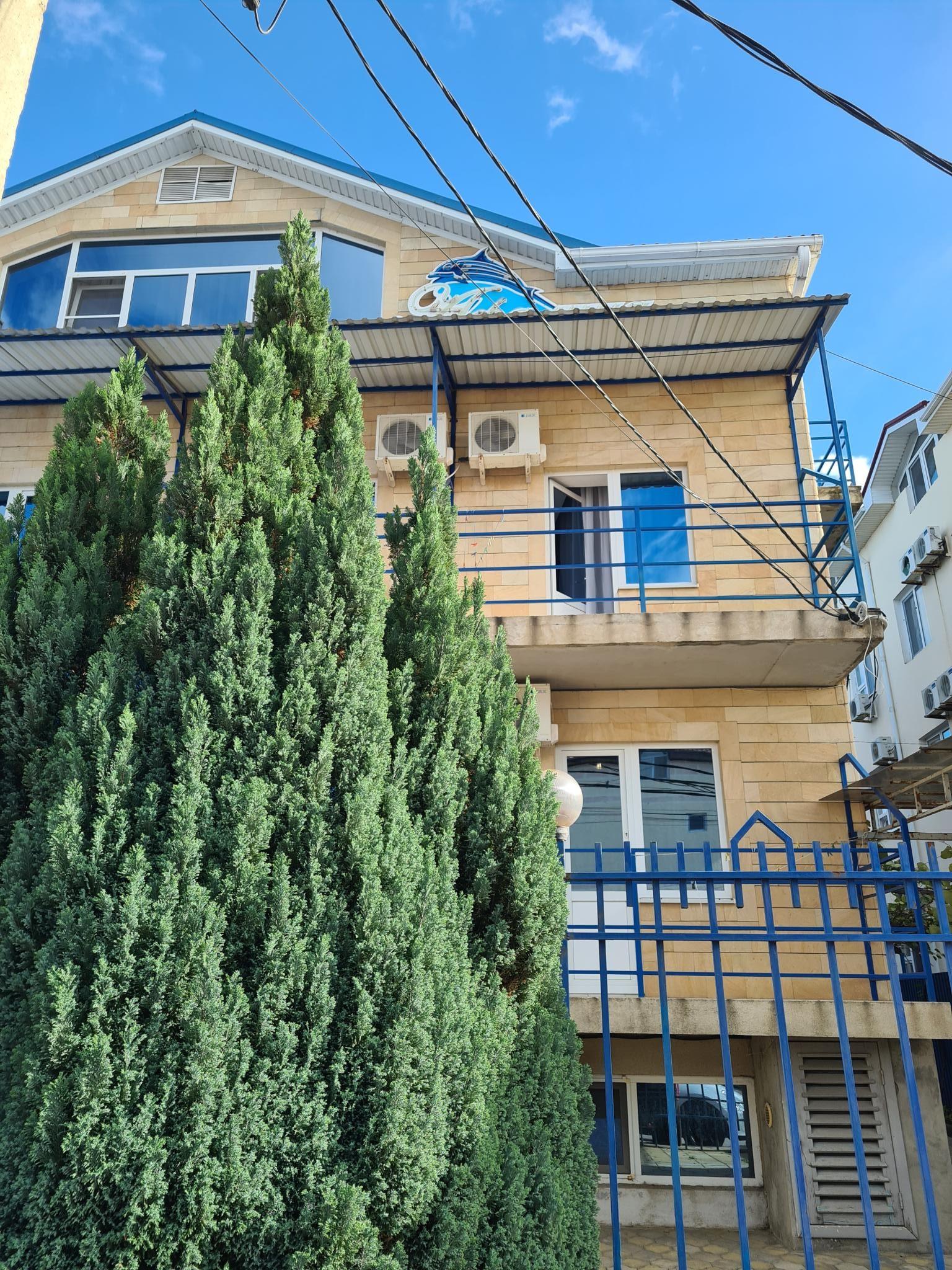 Фото Афалина