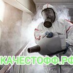 Качестофф (Челябинск, ул. Южный Бульвар, 6), дезинфекция, дезинсекция, дератизация в Челябинске