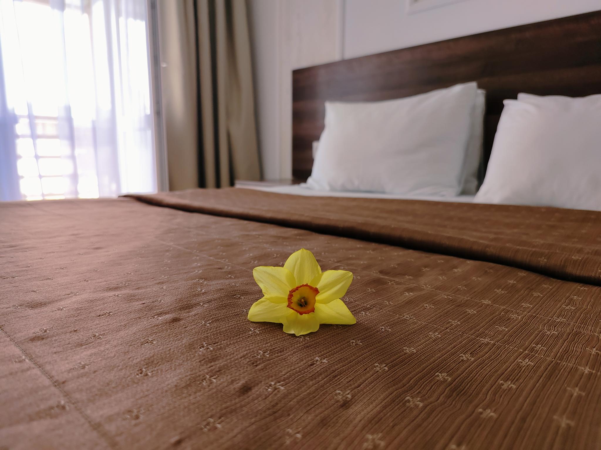 Фото Талисман Хаус