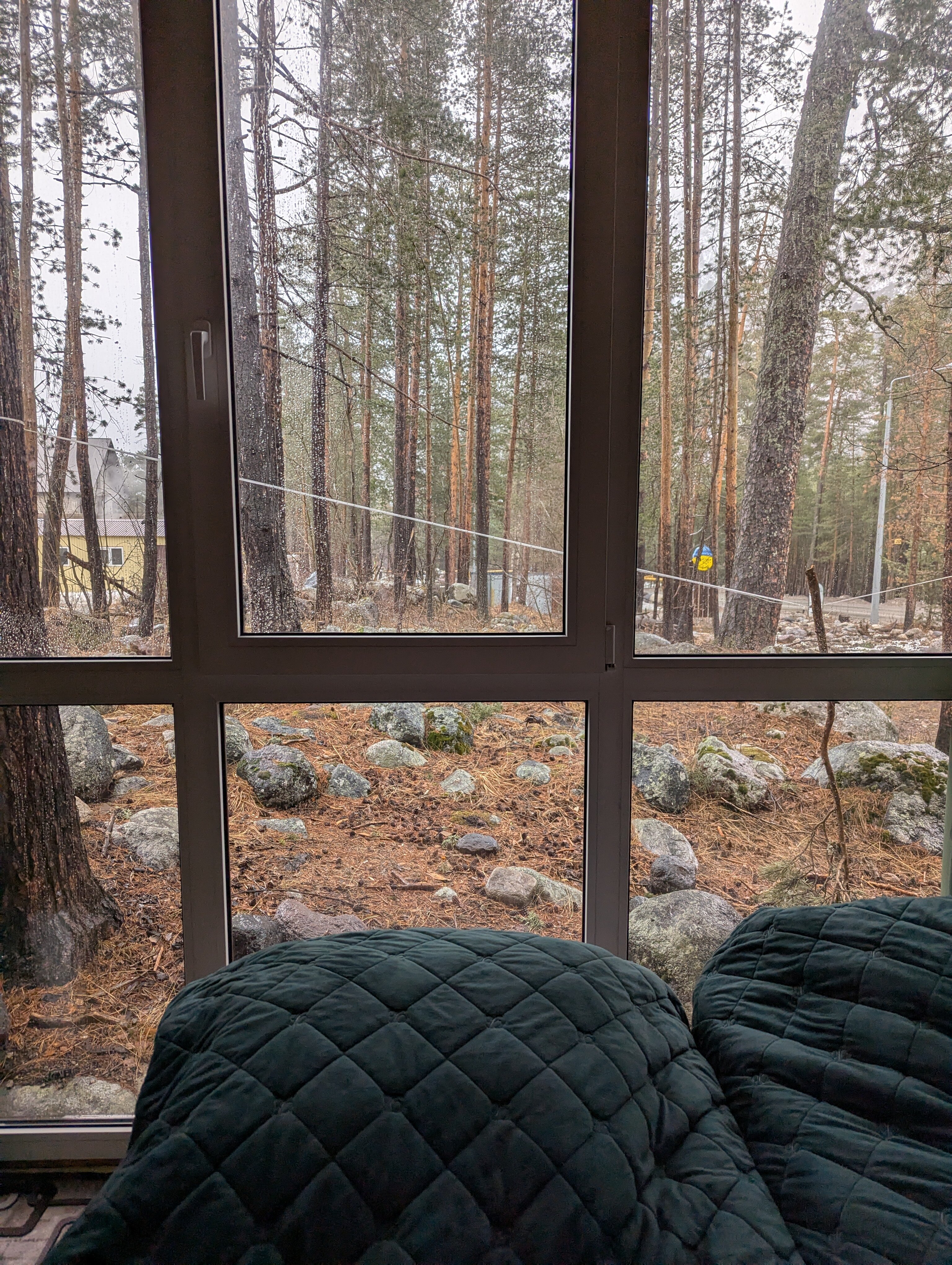 Фото Джаппу