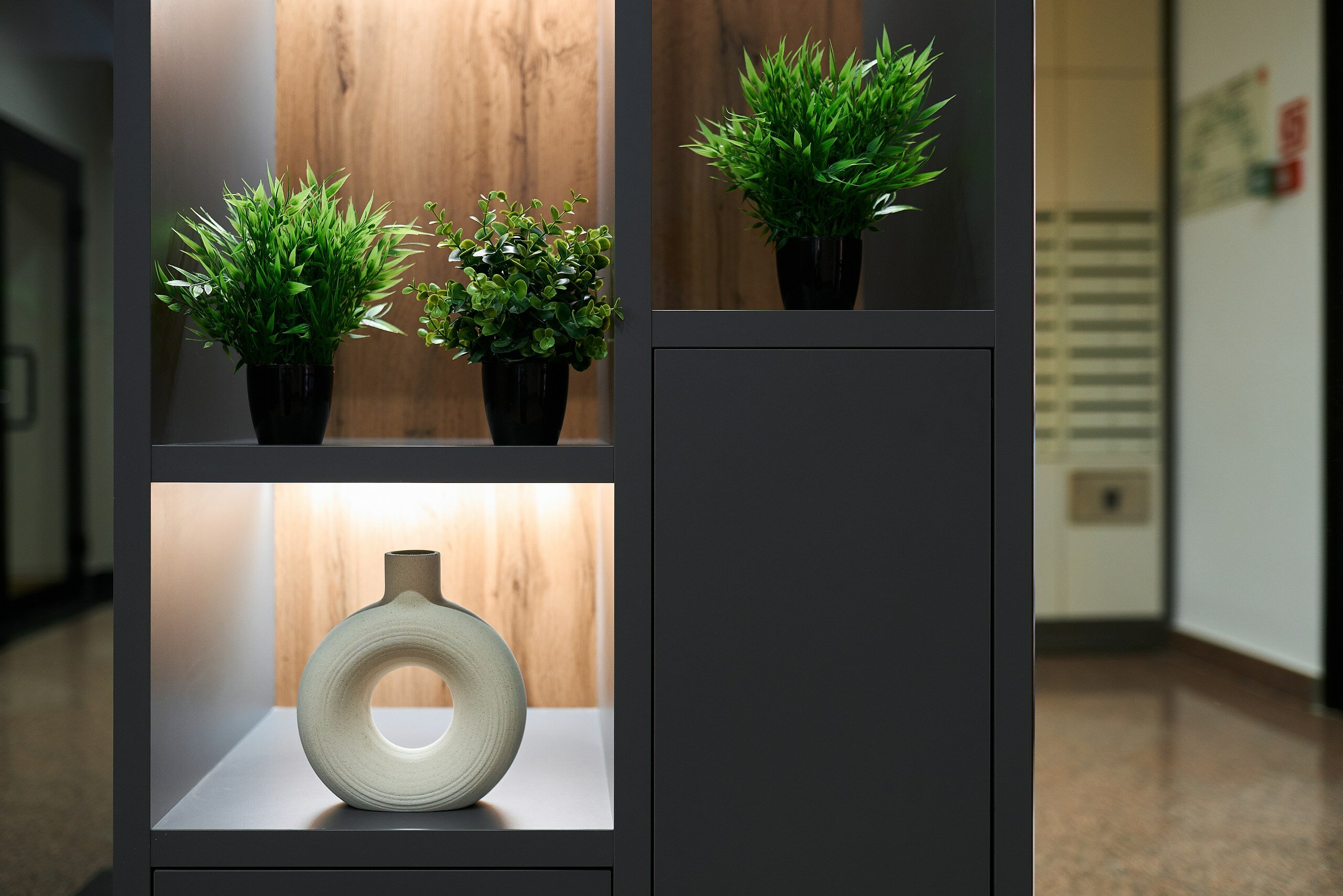 Фото Премьер by Огни Rent