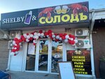 Солодъ&shelbi (ulitsa Chapayeva, 22Б), beer shop