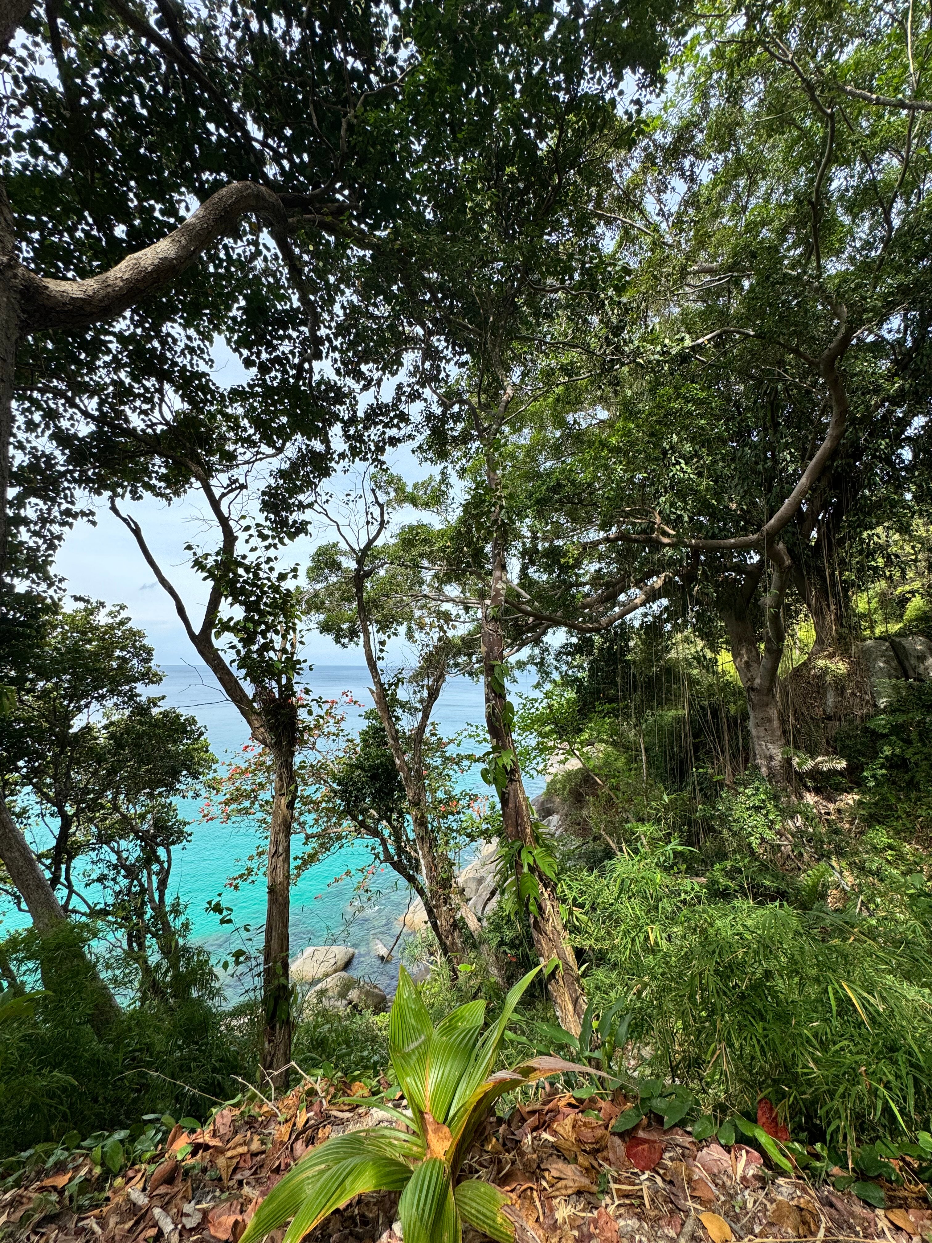 Фото SunSeaSand Hotel Patong