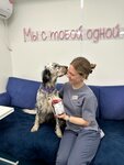 Blood Bank LabPoisk (Repischeva Street, 13к1), veterinary clinic