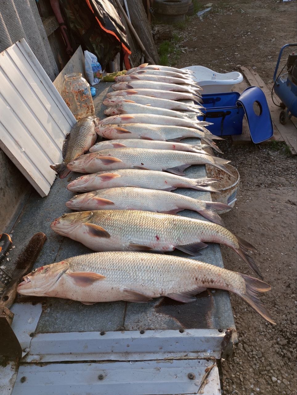 Фото База 33