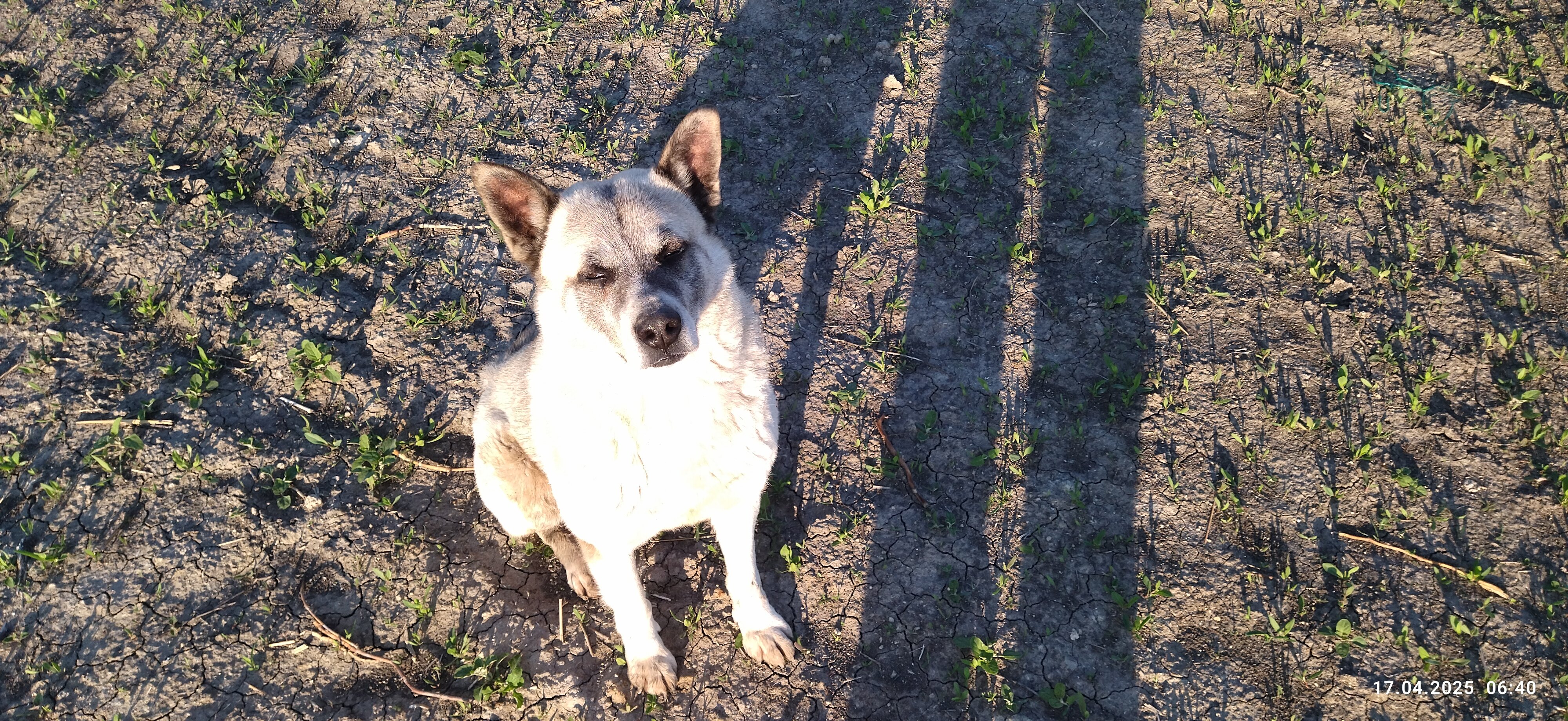 Фото Фазенда