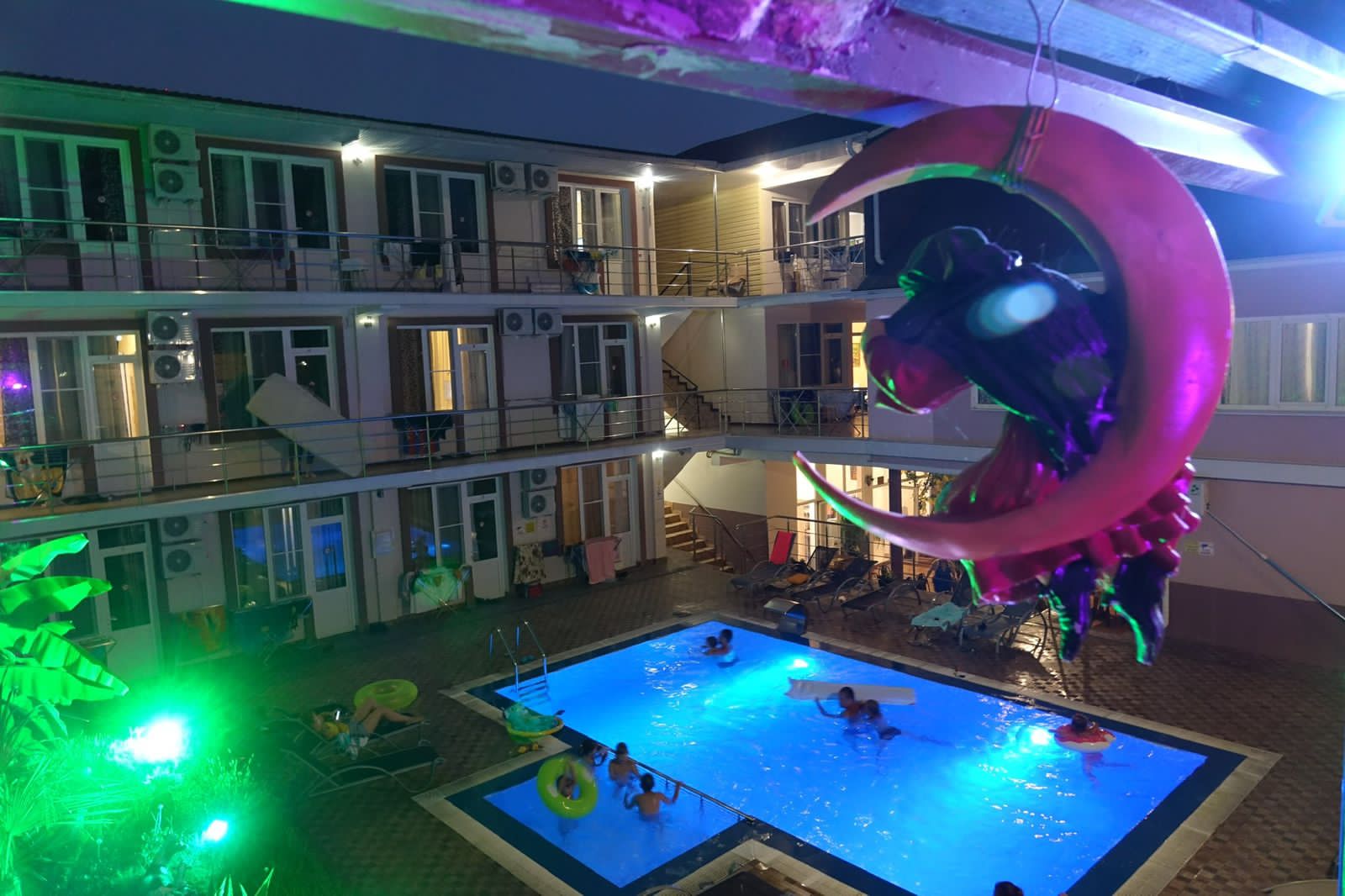 Фото Азалия Мимоза