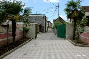 Фото Кипарис