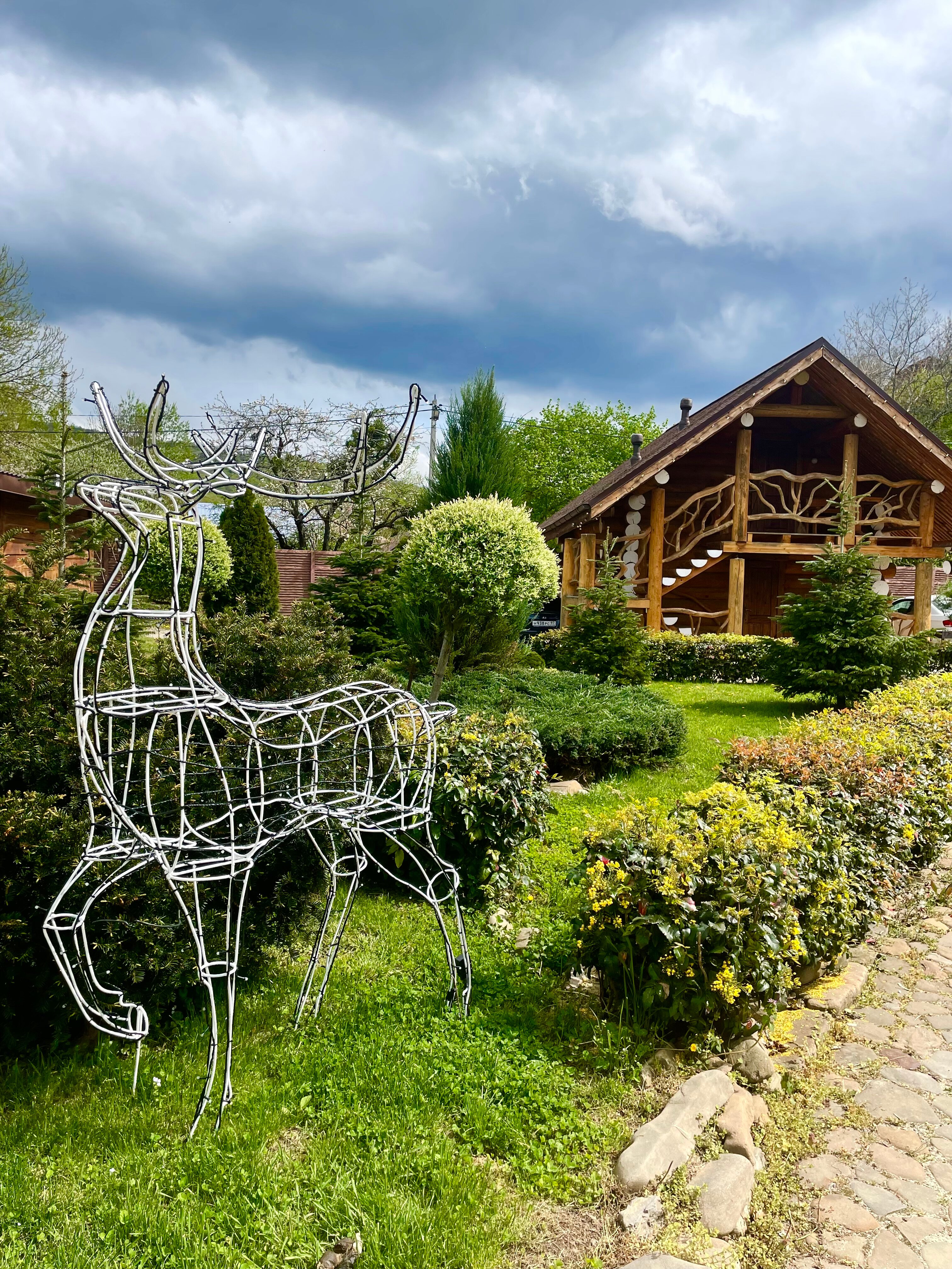 Фото Денница