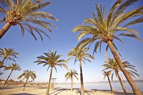 Внешний вид отеля Mll Caribbean Bay Hotel в Льюкмажоре, фото 3
