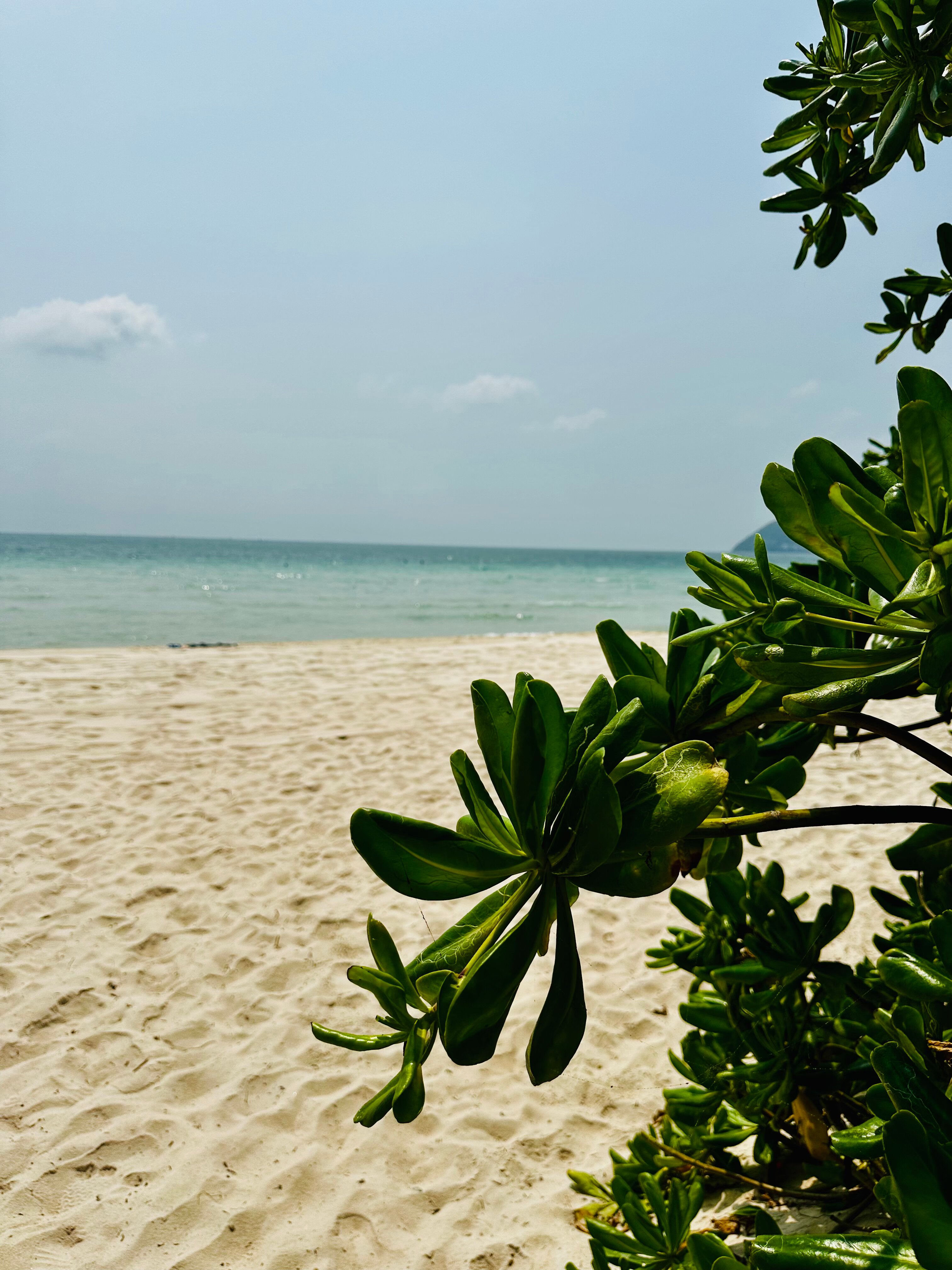 Фото Premier Residences Phu Quoc Emerald Bay Managed by Accor