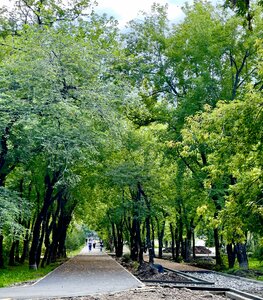 Гинекологтың кабинетіндегі порно суреттер