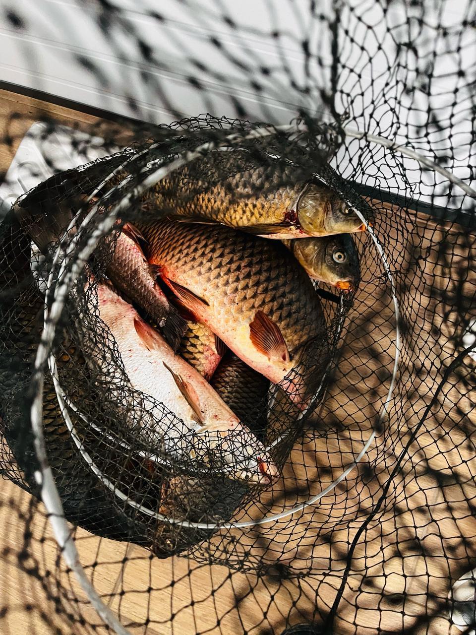 Фото Рыбаградъ