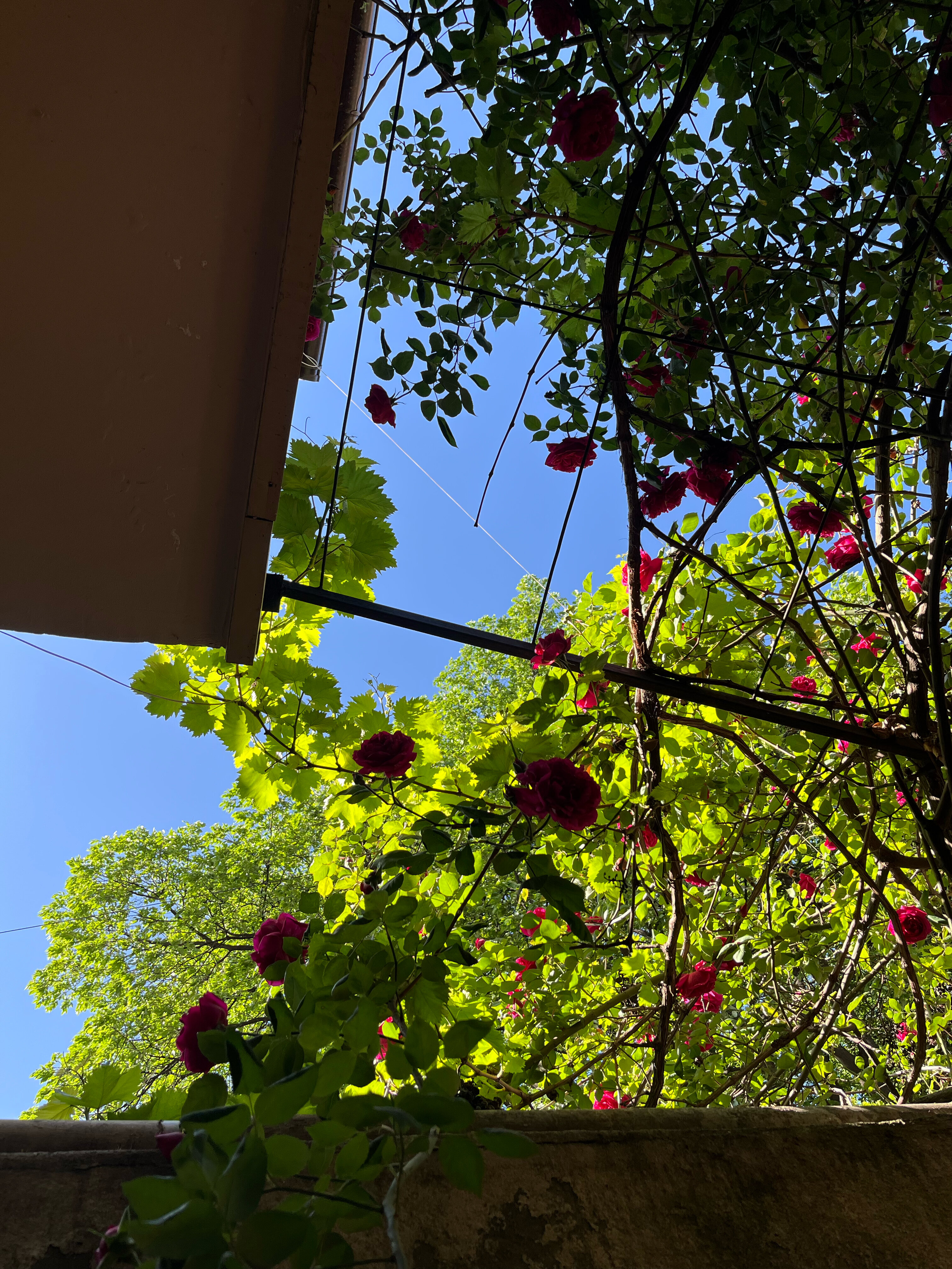 Фото Tbilisi Tales