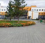 MAOU Secondary School № 217 (ulitsa Viktora Shevelyova, 3), school