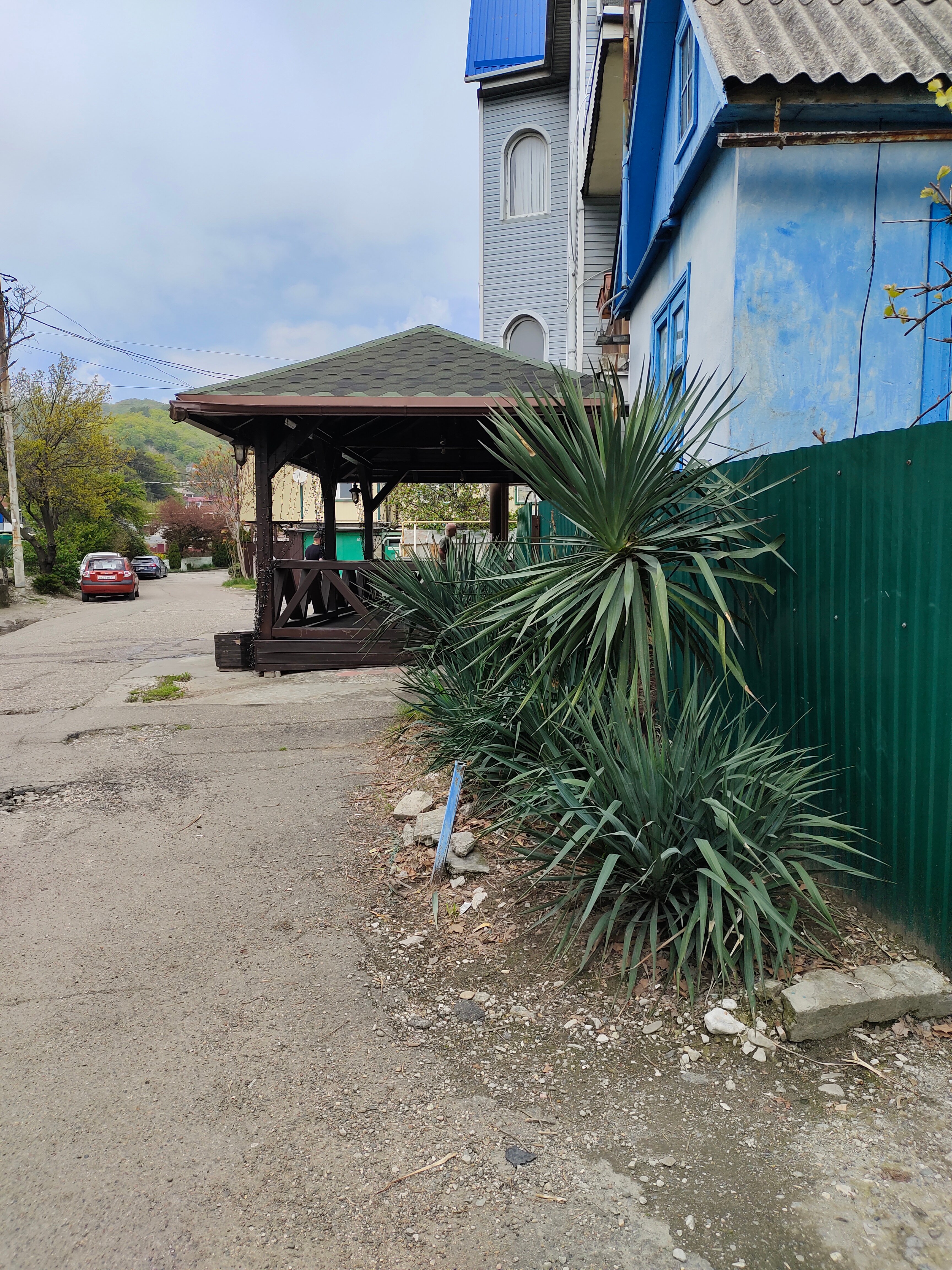 Фото Магнолия