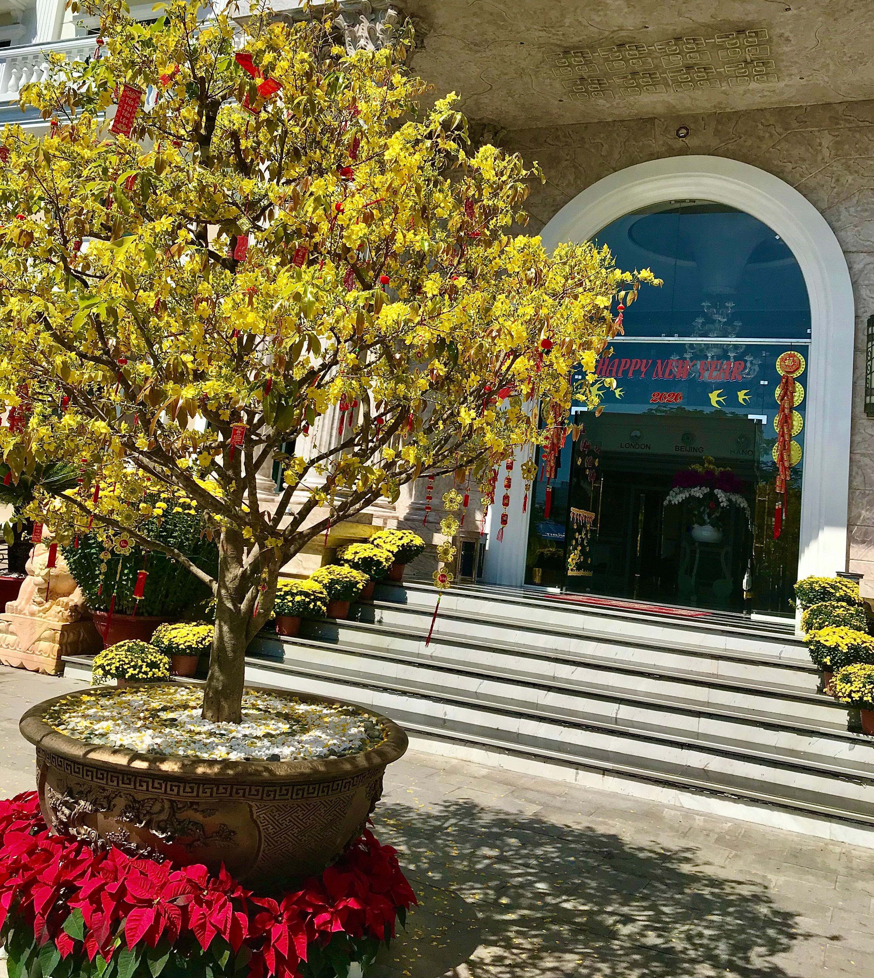 Фото Orbit Resort & Spa