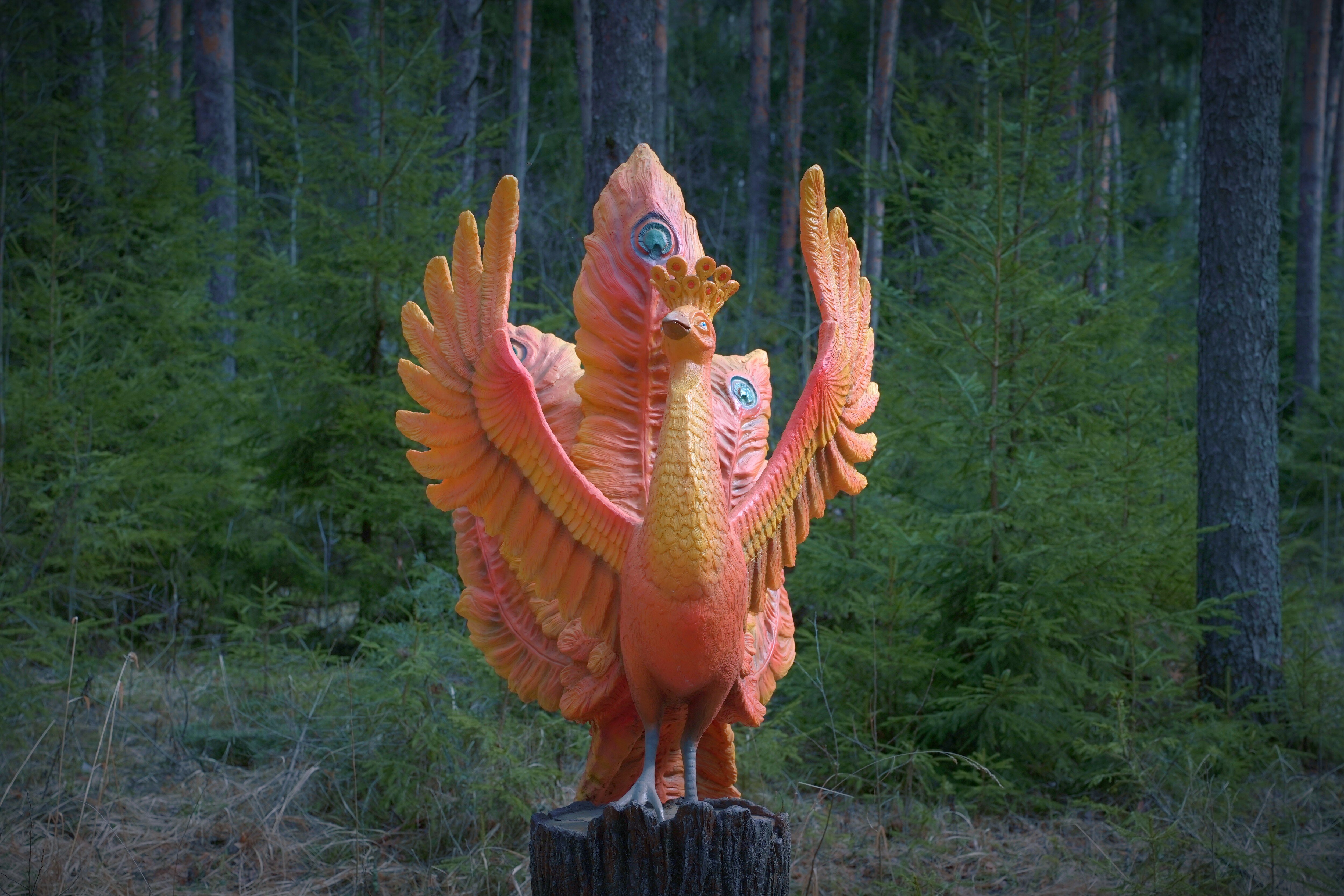 Фото Ясные зори