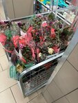 Magnit (Settlement of Marshala Zhukova, 5-y kvartal, 15), grocery