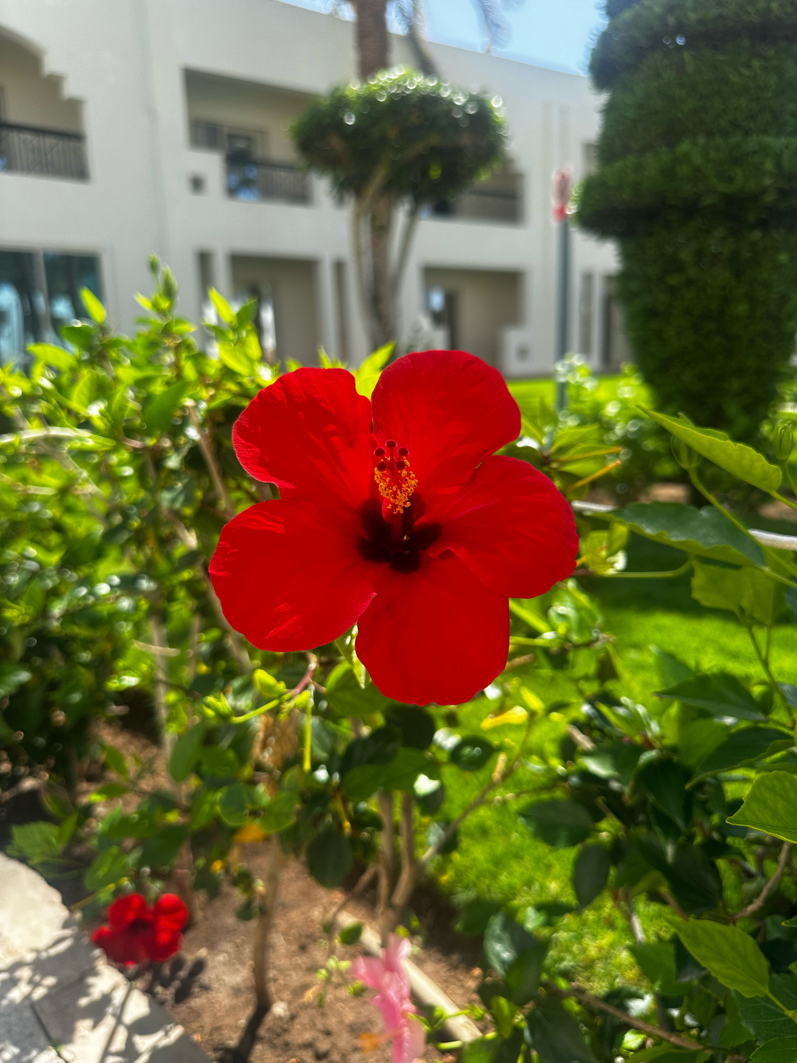 Фото Xperience St. George Homestay