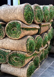 Газоны Roll-grass (Kutuzovsky Avenue, 36с4), landscape design