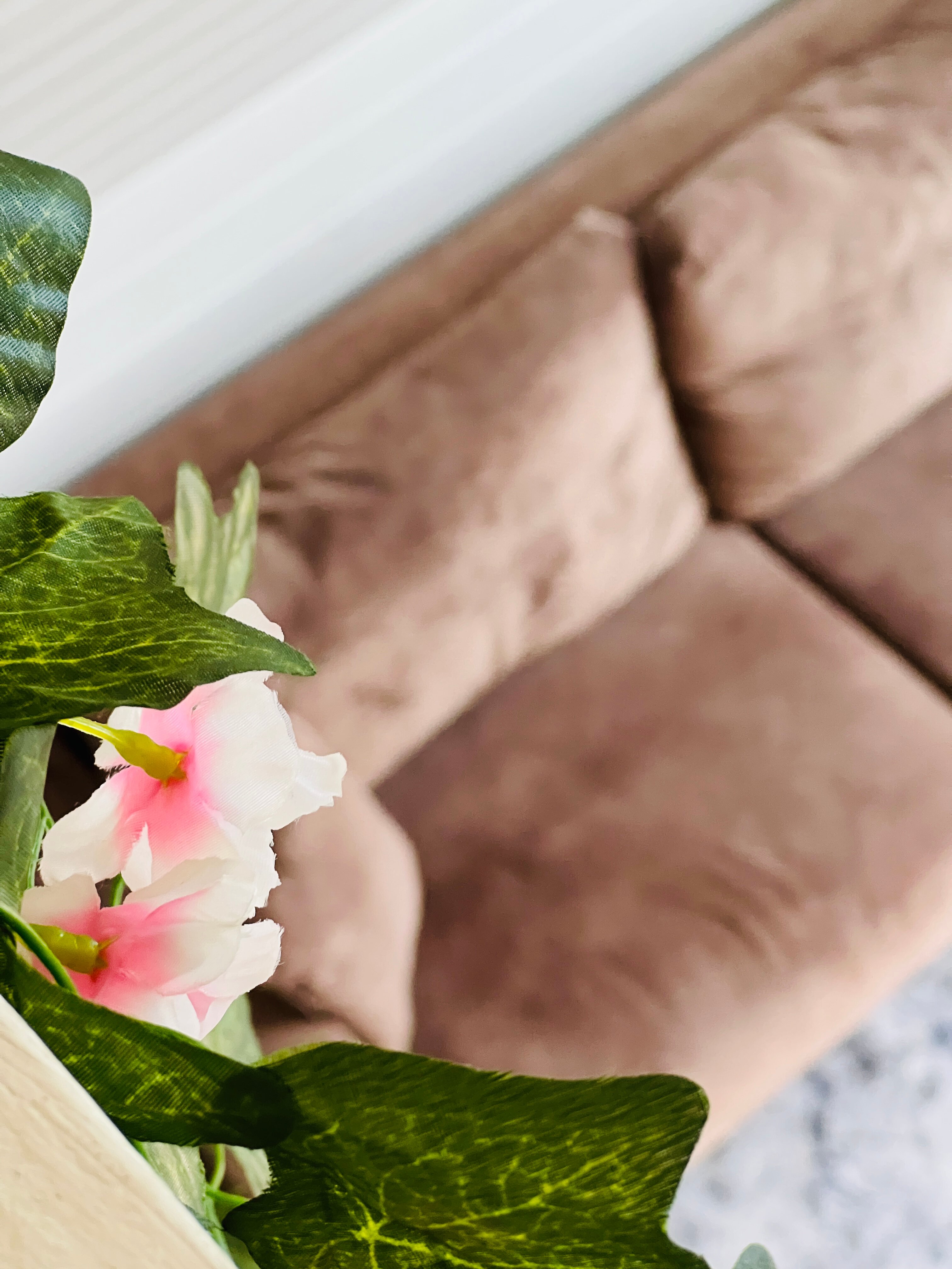 Фото Клюква