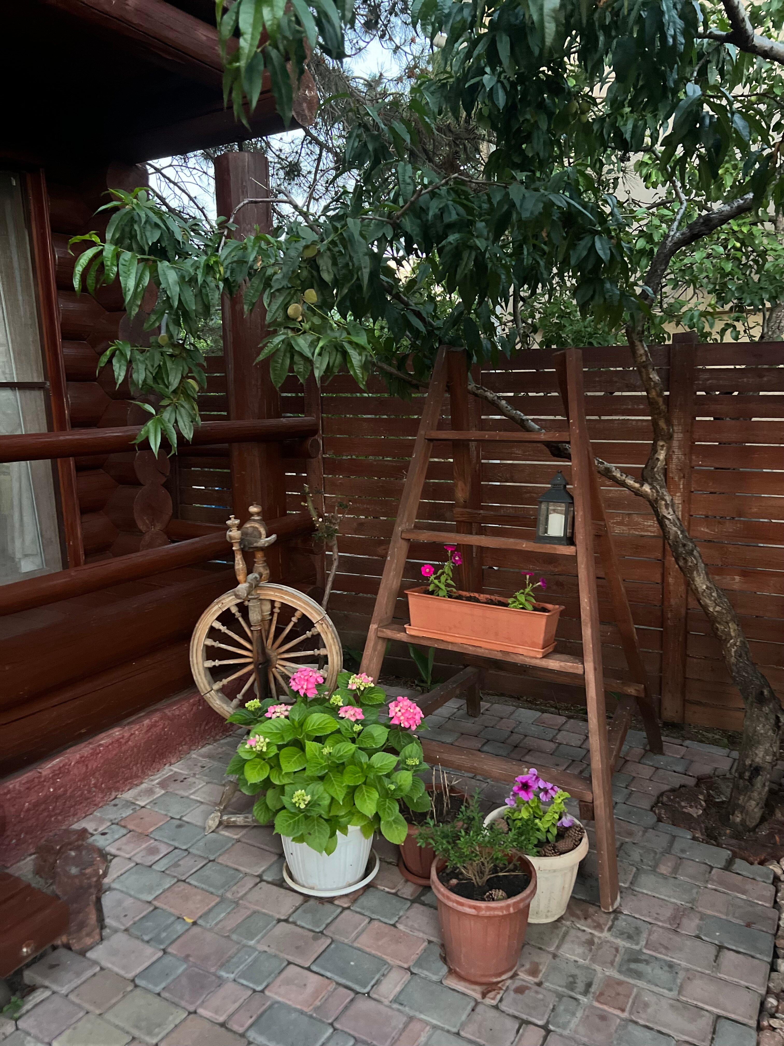 Фото Сосновый двор