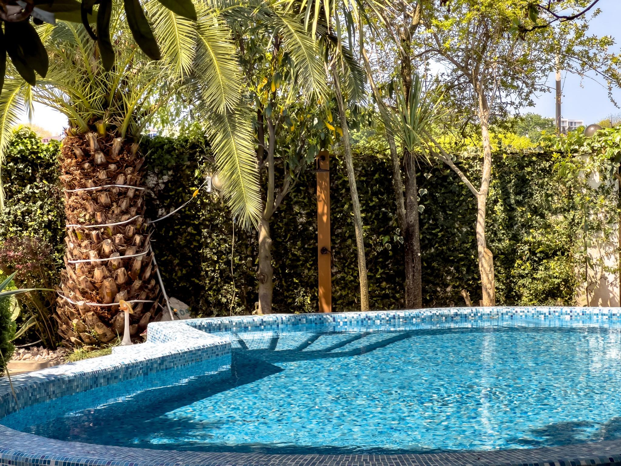 Фото Ренессанс