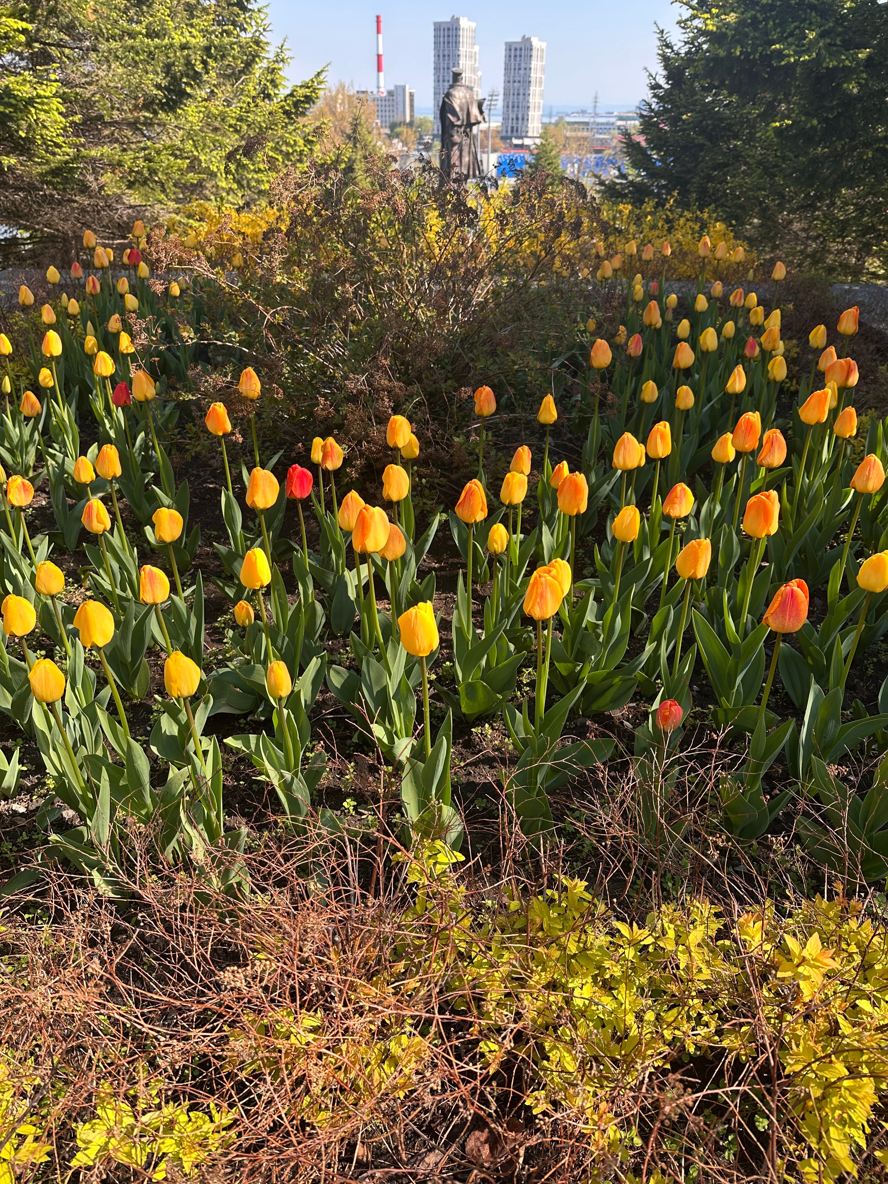 Фото Azimut Сити Отель Владивосток