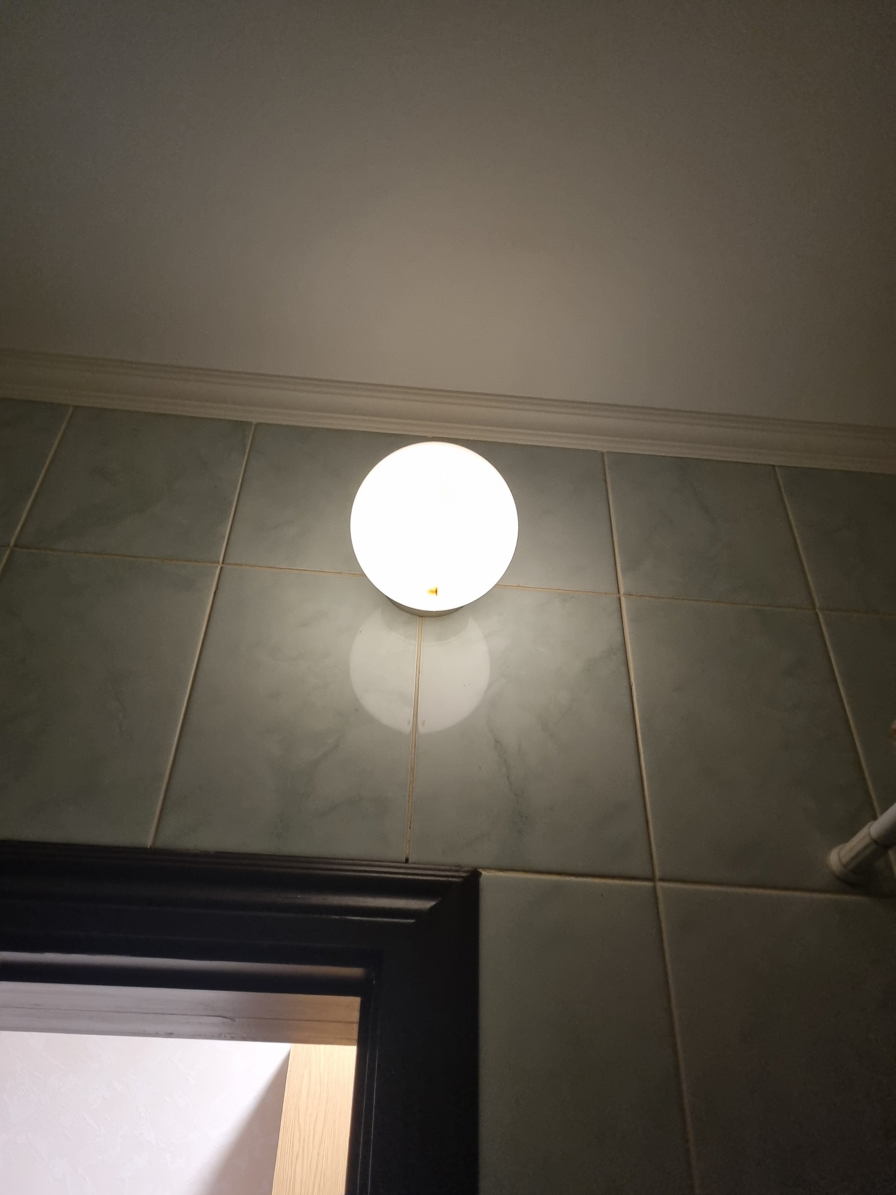 Фото Виктория