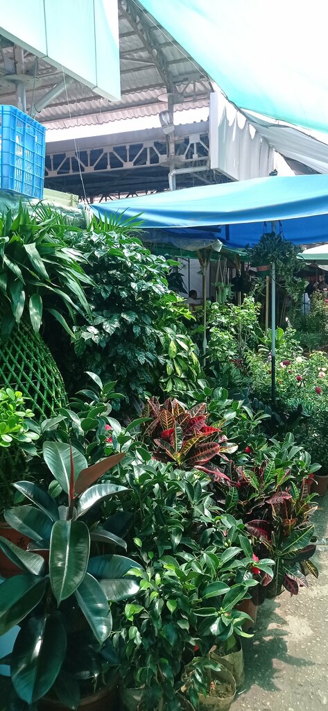 Information website Eski Juva Dehkan Bazaar, Tashkent, photo