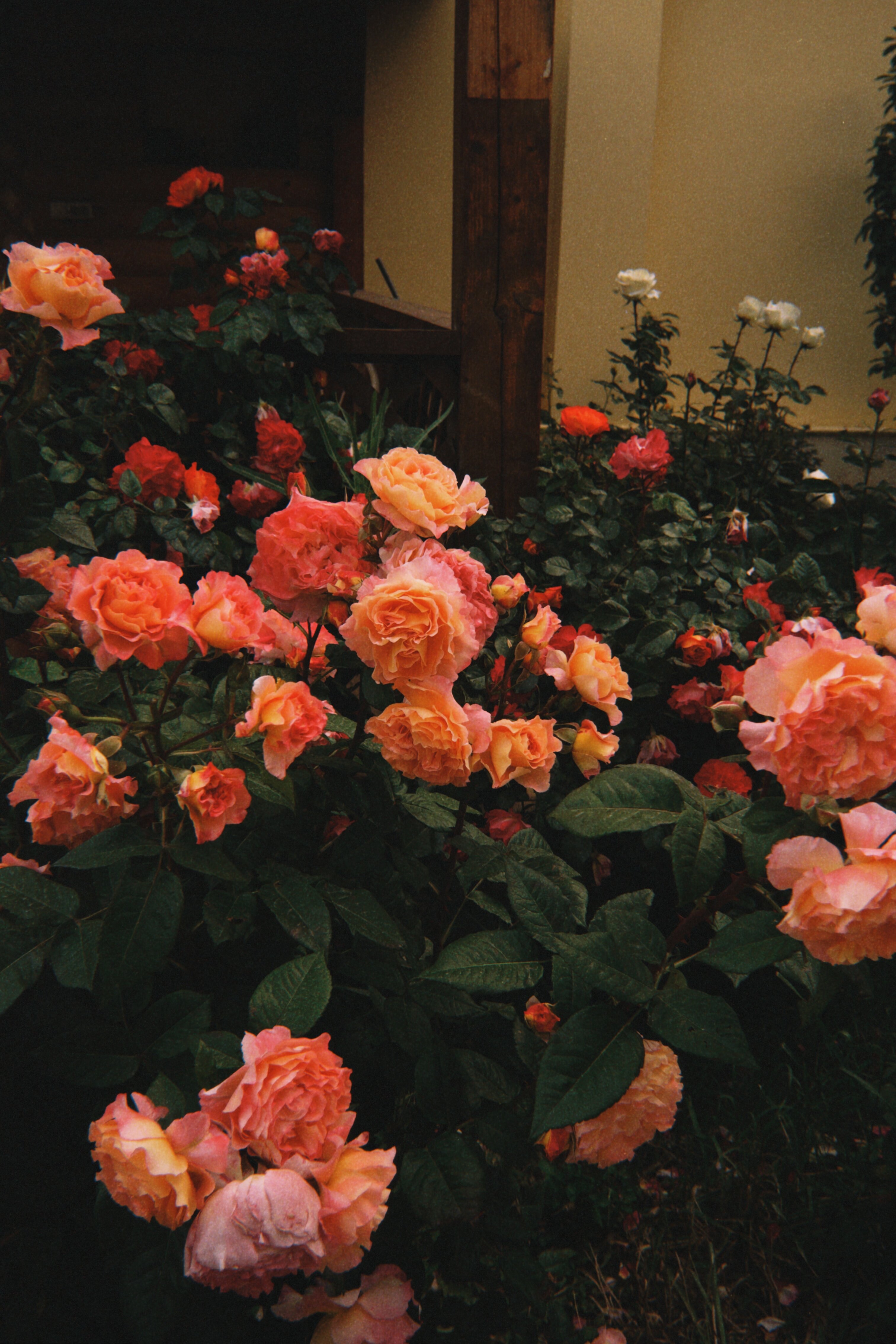 Фото Акватория