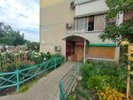 Profi Potolok (Academician Lukyanenko Street, 32) ، تمتد والأسقف المعلقة