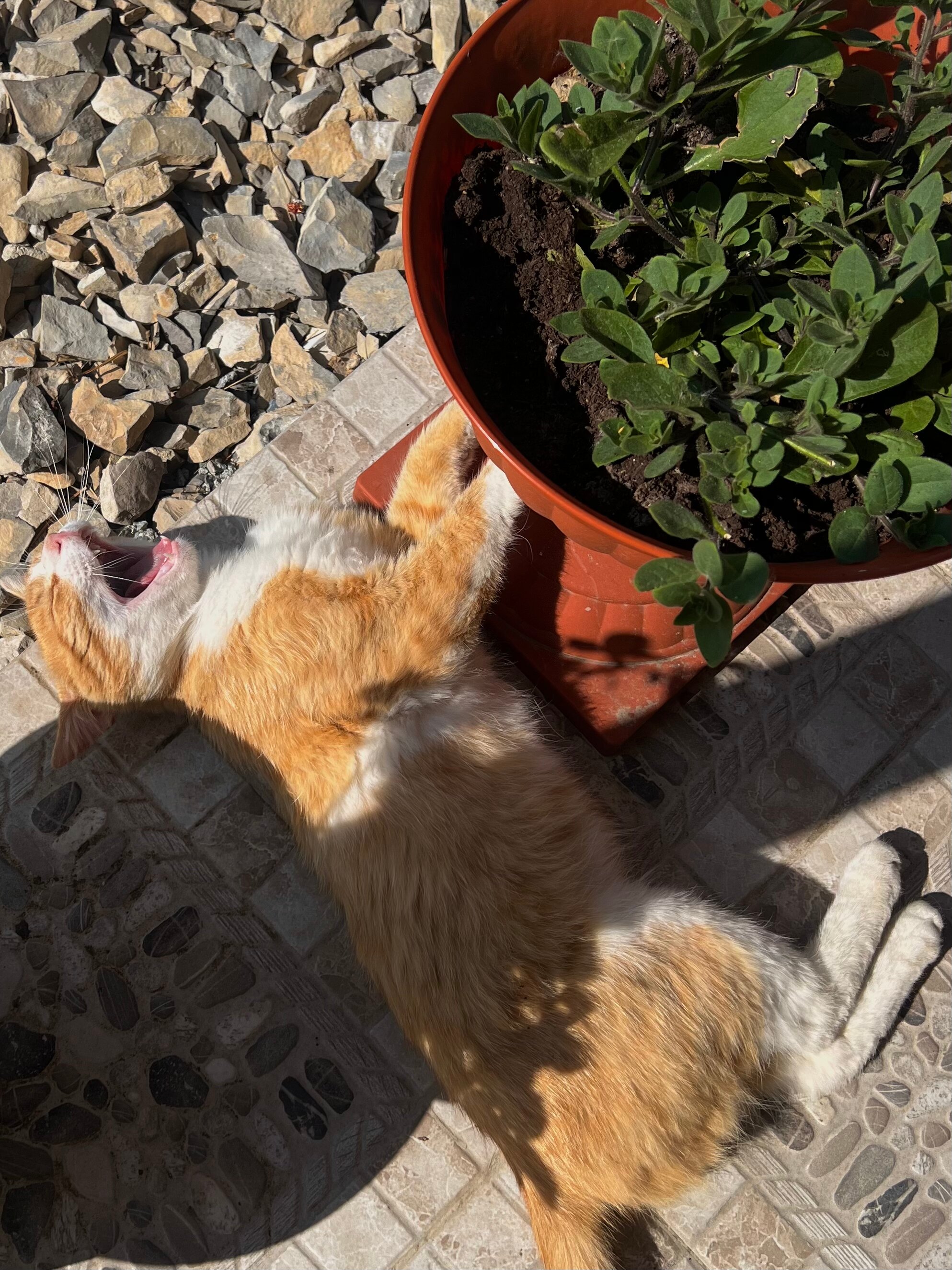 Фото Тагаком