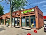 Цветарик (Bolshaya Moskovskaya ulitsa, 73), flower shop