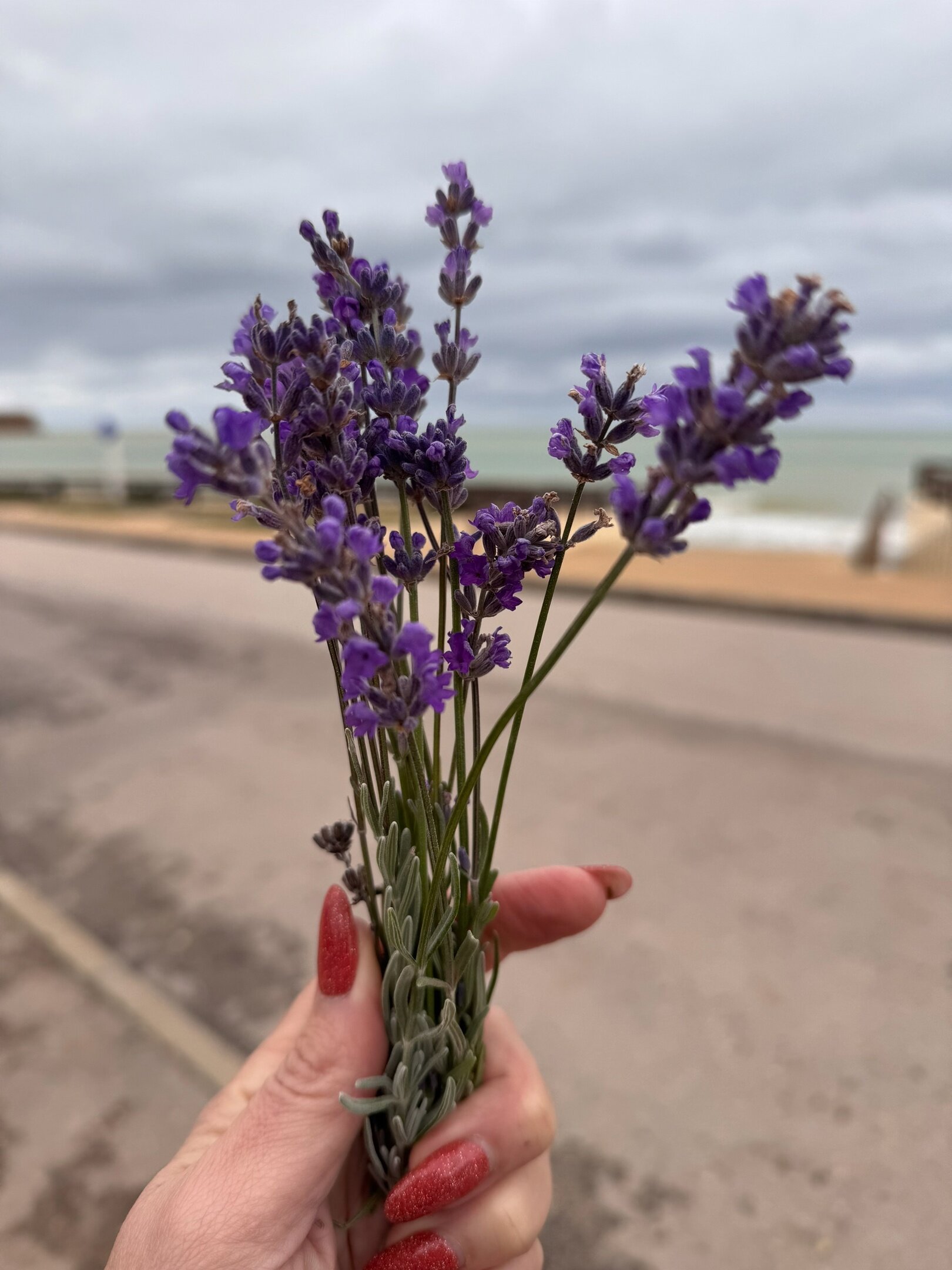 Фото Лукулл