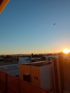 Гостиница Extended Suites Tijuana Macroplaza Hotel